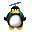 :penguin_6: